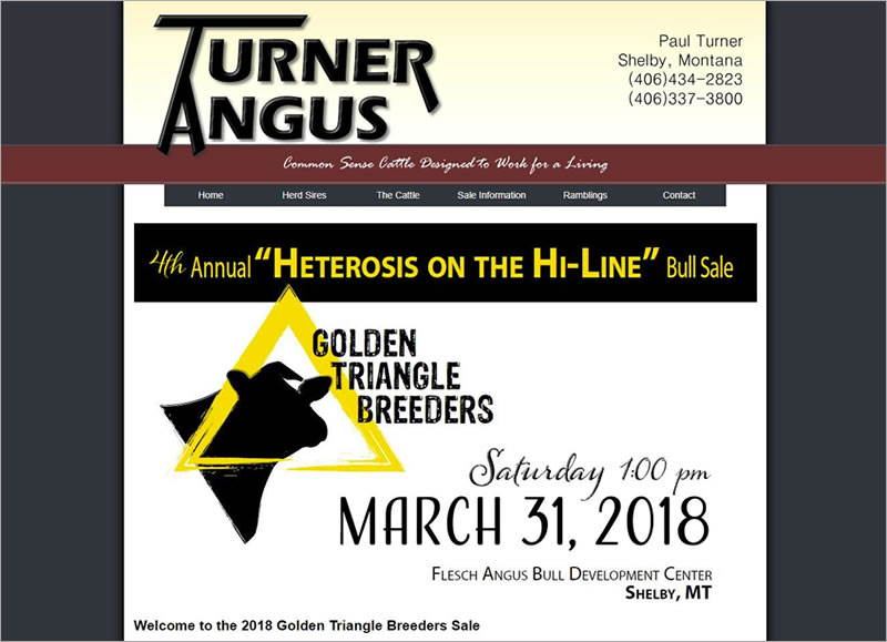 Turner Angus Website